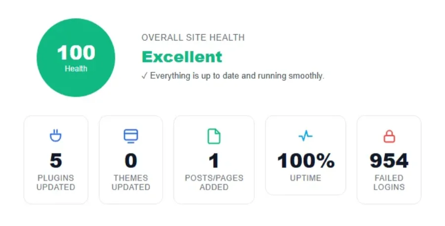 Website health dashboard showing a score of 100 Excellent.