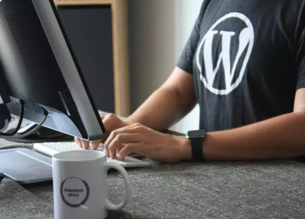 WordPress web designer working